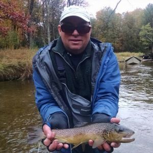 Meet your Posher, Peter